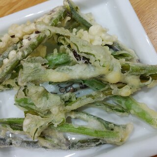 紅菜苔(こうさいたい)の茎の天ぷら